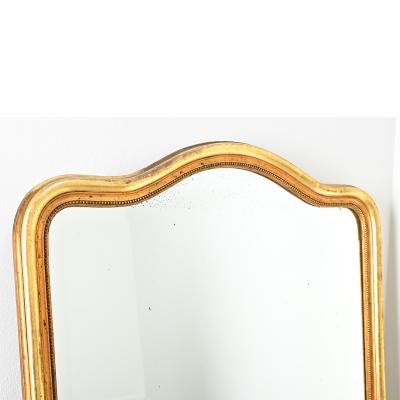 French 19th Century Gold Gilt Mirror