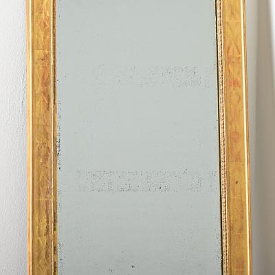 French 19th Century Gold Gilt Mirror