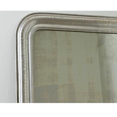 French 19th Century Louis Philippe Silver Gilt Mirror