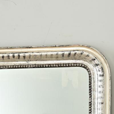 French 19th Century Louis Philippe Silver Gilt Mirror