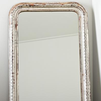 French 19th Century Louis Philippe Silver Gilt Mirror