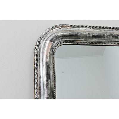 French 19th Century Louis Philippe Silver Gilt Mirror