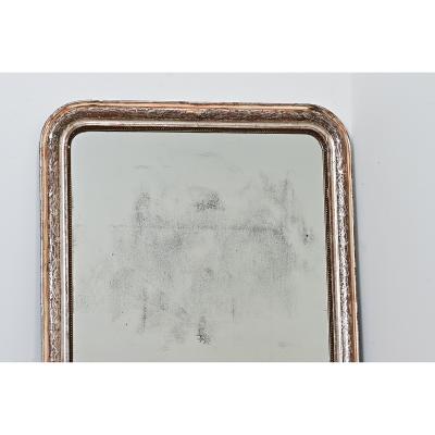 French 19th Century Louis Philippe Silver Gilt Mirror