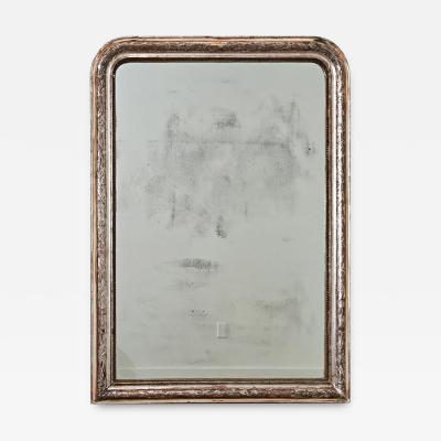 French 19th Century Louis Philippe Silver Gilt Mirror