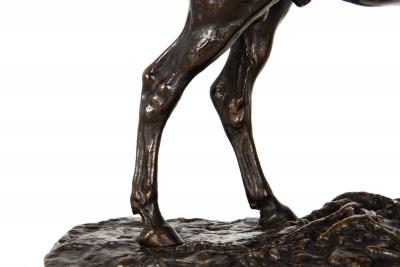 French Antique Bronze Sculpture of Ibrahim Arabian Stallion by Pierre J Mene