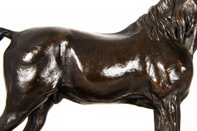 French Antique Bronze Sculpture of Ibrahim Arabian Stallion by Pierre J Mene