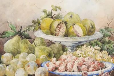 French Framed 19th Century Watercolor Depicting Fruits Signed E Calmant
