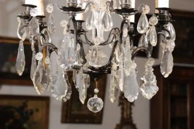 French Late 19th Century Eight Arm Crystal Chandelier with Dark Metal Armature