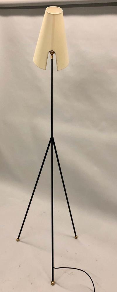 French Mid Century Modern Wrought Iron Floor Lamp Attributed Disderot