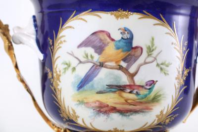 French Pair Gilt Bronze Mounted Porcelain Pair Urns Vases