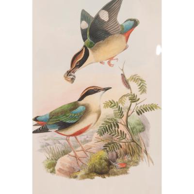 French Pair of Reproduction Framed Lithographs