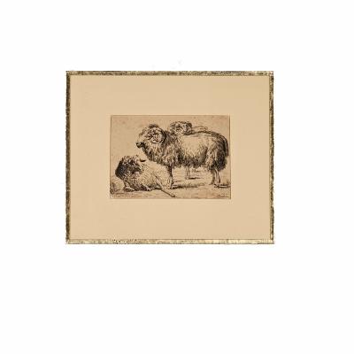 French Pen and Ink Drawing of Ram and Ewe circa 1800