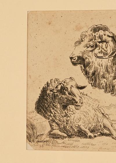 French Pen and Ink Drawing of Ram and Ewe circa 1800