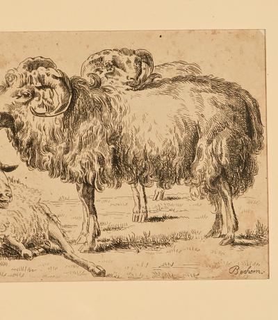 French Pen and Ink Drawing of Ram and Ewe circa 1800