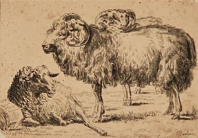 French Pen and Ink Drawing of Ram and Ewe circa 1800