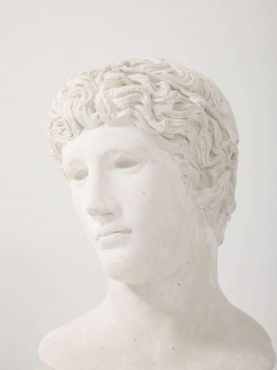 French Plaster Bust of a Classical Youth