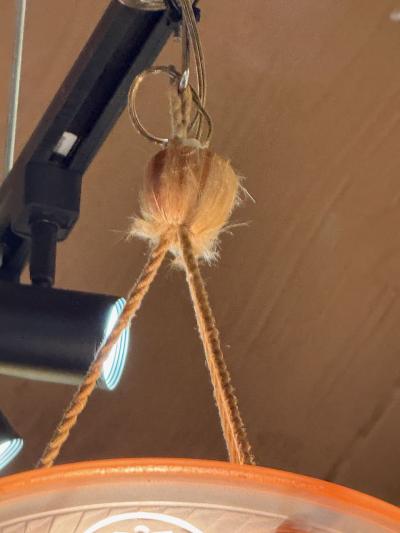 French Pressed Glass Art Deco Chandelier in Peach Pink circa 1930