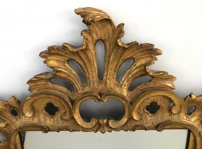 French Rococo Style Carved Giltwood Mirror