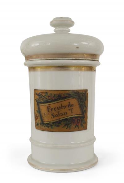 French Victorian Porcelain Apothecary Jars