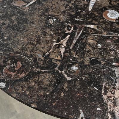 French Vintage Fossil Marble Dining Center Table
