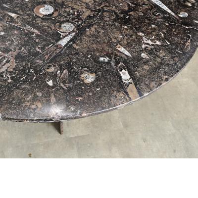 French Vintage Fossil Marble Dining Center Table