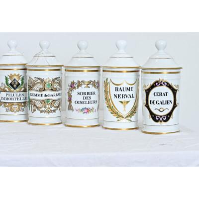 French Vintage Set of Fifteen Porcelain Limoges Pharmacy Jars