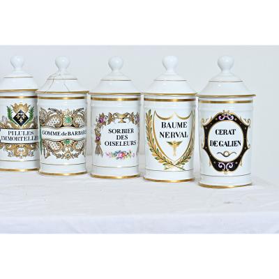 French Vintage Set of Fifteen Porcelain Limoges Pharmacy Jars