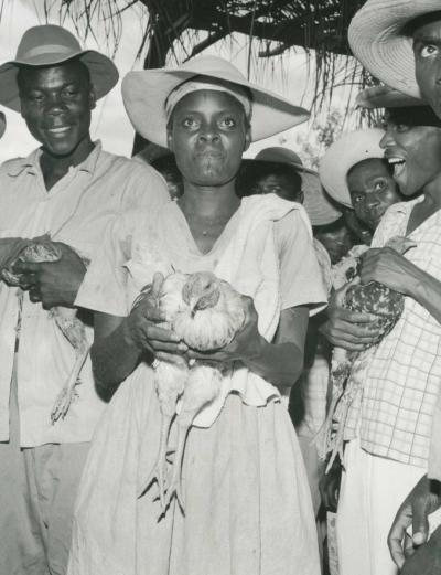 Fritz Henle Cock Fight Haiti