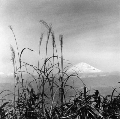 Fritz Henle Mt Fuji Japan