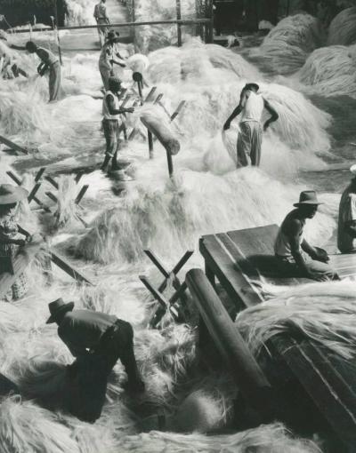 Fritz Henle Sisal Factory Haiti