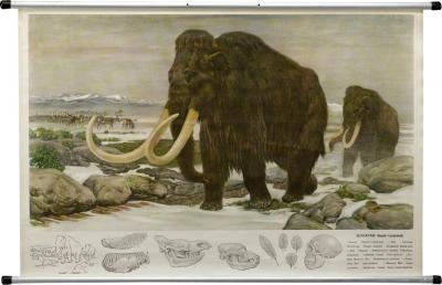 Fritz Zerritsch 1955 Quaternary Ice Age Landscape Woolly Mammoth Wall Hanging