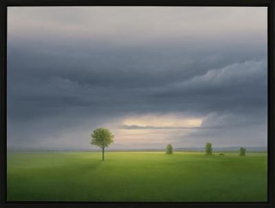 GAIL DESCOEURS Sacred Storm