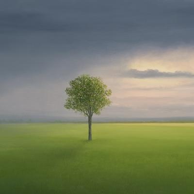 GAIL DESCOEURS Sacred Storm