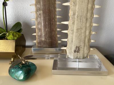 Gabriella Crespi Pair of Sawfish Rostrum Bills