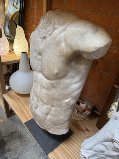 Gaddis Torso Plaster Bust Copy in Scale 1 1