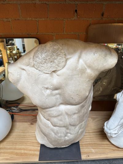Gaddis Torso Plaster Bust Copy in Scale 1 1