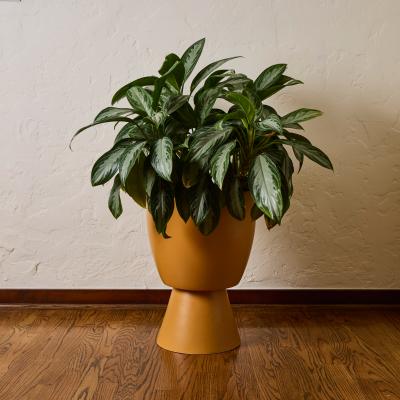 Gainey Ceramics Matte Yellow Glazed Ceramic Gainey Prototype Midcentury Chalice Planter