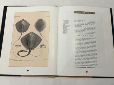 Galuchat by Lison de Caunes Jean Perfettini Les ditions de lAmateur 1994