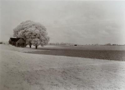 Gary Bartoloni Memories of Home