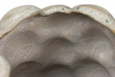 Gary DiPasquale Gary DiPasquale Contemporary Off White Textural Raised Lobed Cylindrical Vase