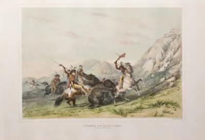 George Catlin GEORGE CATLIN 1794 1872 ATTACKING THE GRIZZLY BEAR NO 19