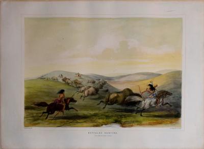 George Catlin GEORGE CATLIN 1796 1872 BUFFALOE HUNTING