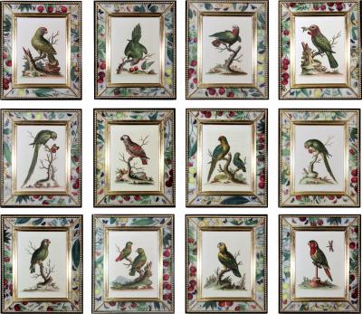 George Edwards George Edwards Prints of Parrots with Decoupage Frames Set of Twelve