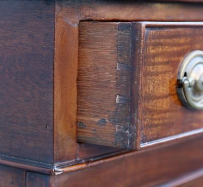 George III Mahogany Bowfront Server