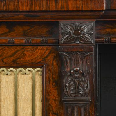 George IV Period Rosewood Chiffonier or Side Cabinet with Carved Detailing