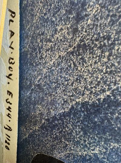 George Suyeoka Attacking Eagle with Talons Ready to Strike Prey in Blue Japanese American