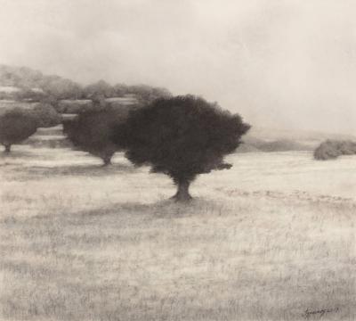 George Tzannes Landscape with Olive Tree Black and White Landscape of Greek Island