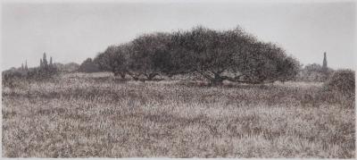 George Tzannes Olive Trees in Field Black and White Monotype with Greek Landscape 2010