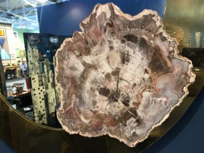 Georges Mathias Stylish acid etched brass and fossilized wood circular mirror by Georges Mathias