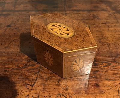 Georgian Burlwood Hexagonal Tea Caddy